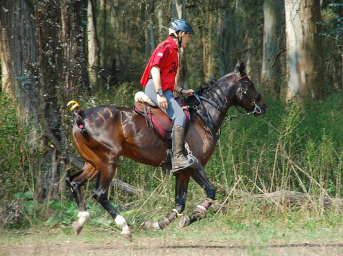 Étriers d'équitation plancher plat - Confort et Sécurité - Etriers KvaLL